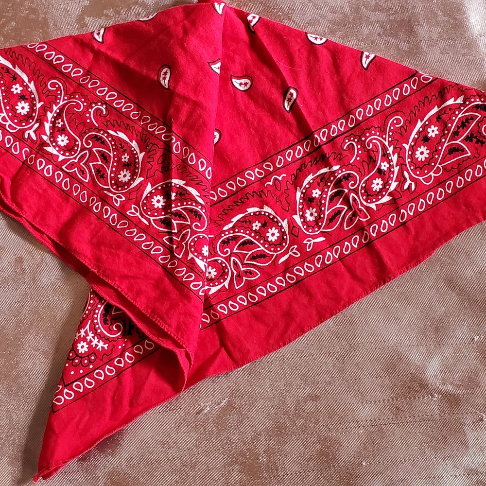 Vintage Red Paisley Bandana